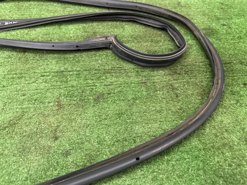 Уплотнитель двери Nissan Murano 2008 Z51