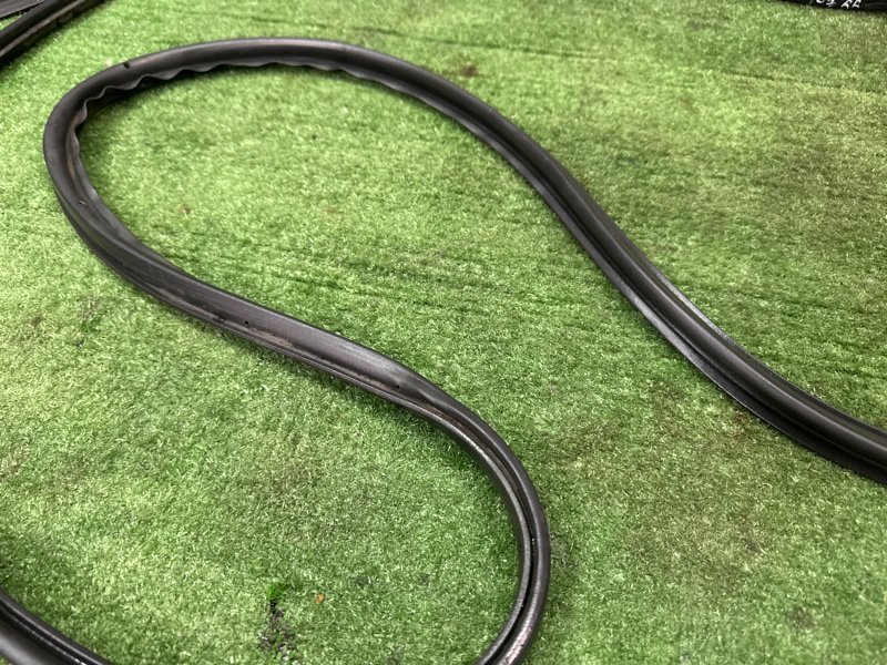 Уплотнитель двери Nissan Murano 2008 Z51