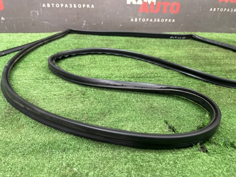 Уплотнитель двери Nissan Murano 2008 Z51