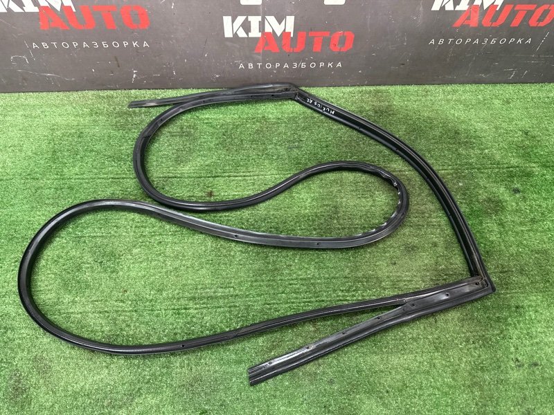 Уплотнитель двери Nissan Murano 2008 Z51