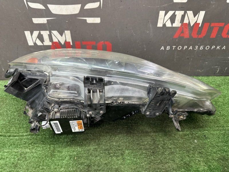 Фара Nissan Murano 2008 Z51