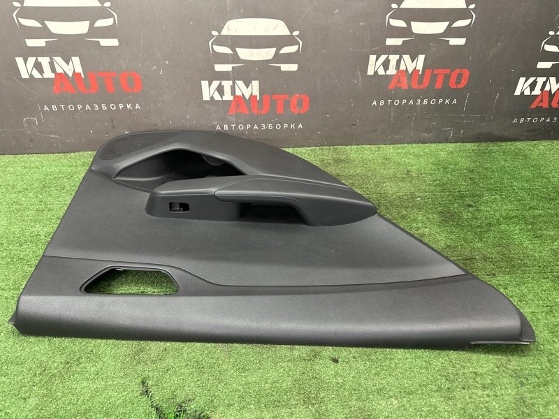 Обшивка двери Hyundai Solaris 2 2021 HCR