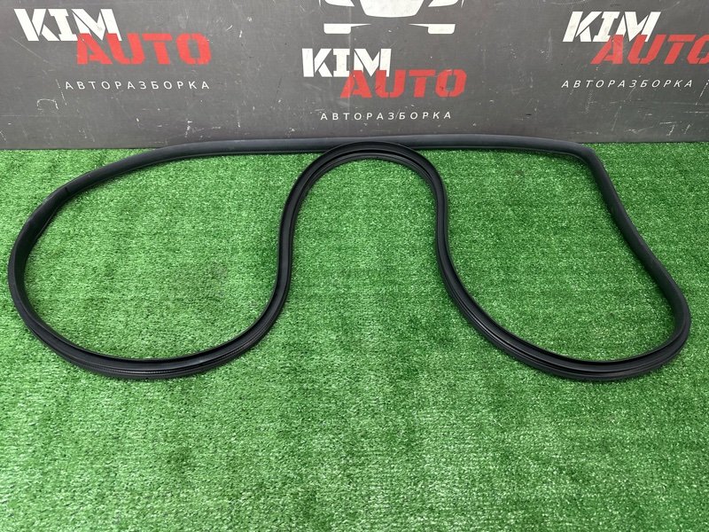 Уплотнитель проема двери Hyundai Solaris 2 2021 HCR