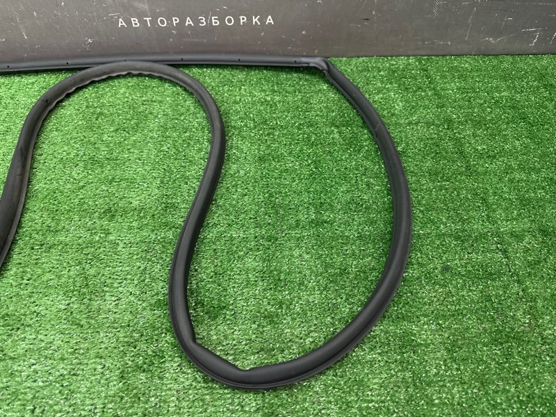 Уплотнитель двери Hyundai Solaris 2 2021 HCR