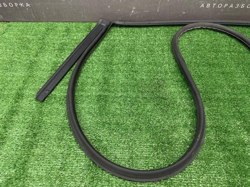 Уплотнитель двери Hyundai Solaris 2 2021 HCR