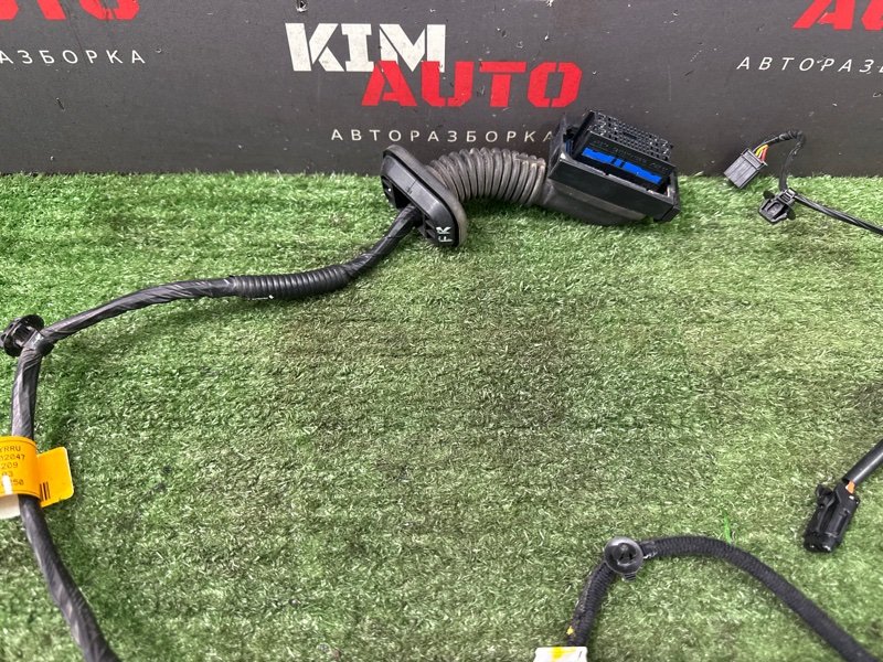 Проводка двери Hyundai Solaris 2 2021 HCR