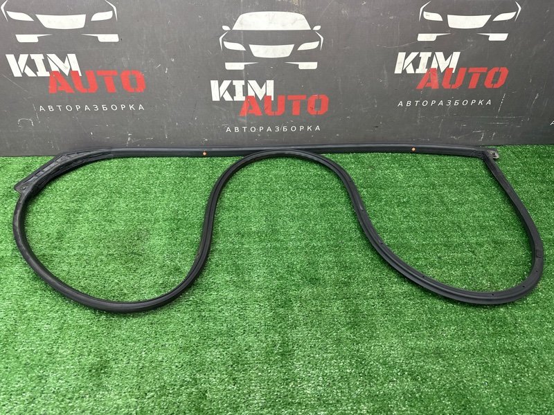 Уплотнитель двери Hyundai Solaris 2 2021 HCR