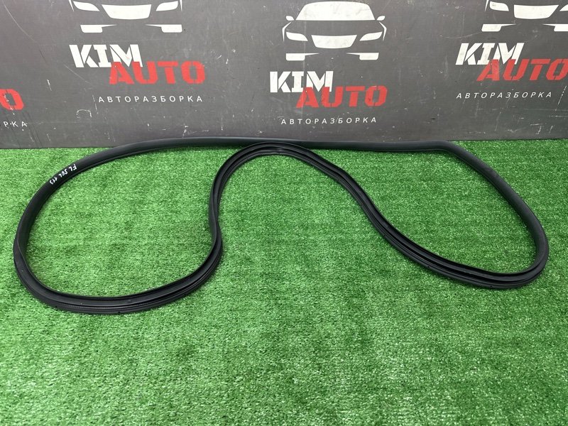 Уплотнитель проема двери Hyundai Solaris 2 2021 HCR