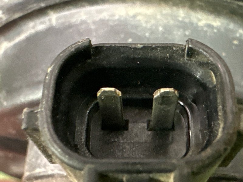 Звуковой сигнал Hyundai Solaris 2 2021 HCR