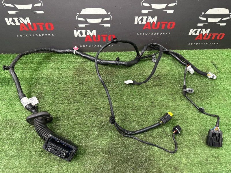 Проводка двери Hyundai Solaris 2 2021 HCR