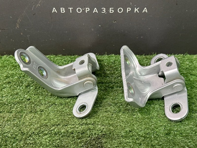 Петли двери Hyundai Solaris 2 2021 HCR