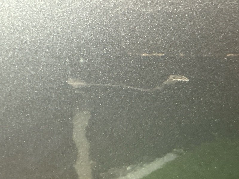 Бампер Kia Rio 4 2019 FB