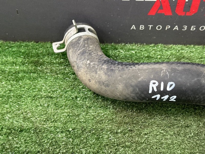 Патрубок радиатора нижний Kia Rio 4 2019 FB