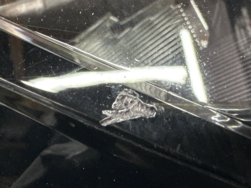 Фара Kia Sportage 5 NQ5