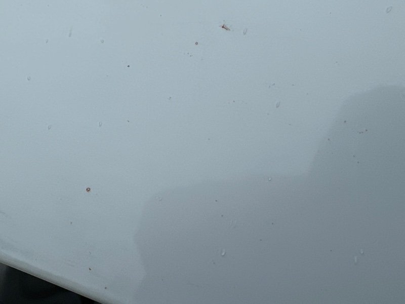 Задняя часть кузова Kia Rio 4 2018