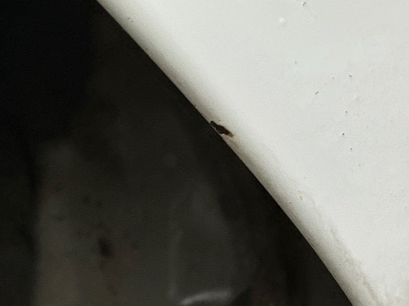 Задняя часть кузова Kia Rio 4 2018