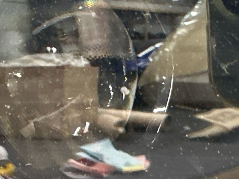 Фары передние Kia Sorento 4 MQ4