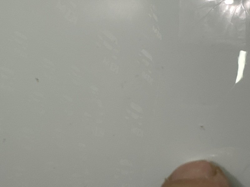 Дверь Kia Rio 4 2018