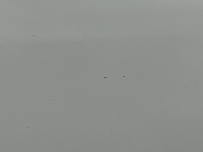 Дверь Kia Rio 4 2018