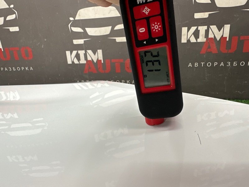 Дверь Kia Rio 4 2018