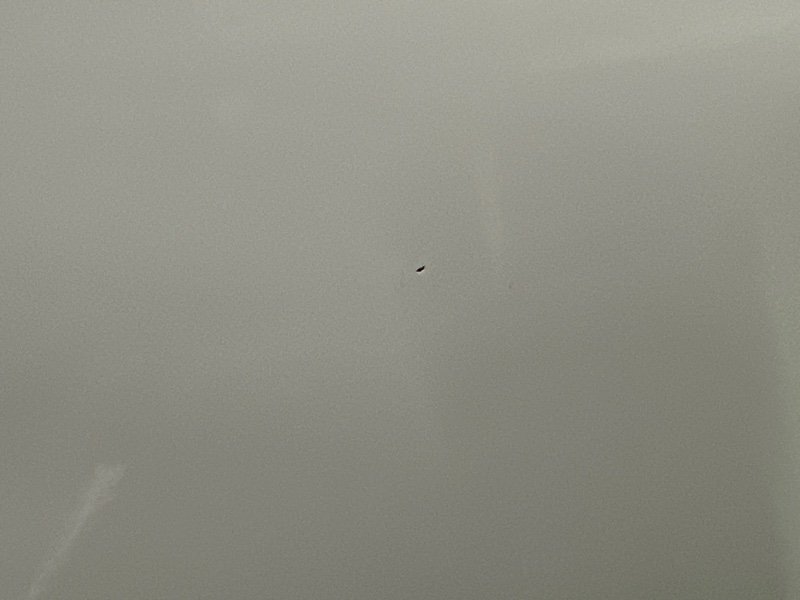 Бампер Kia Rio 4 2018