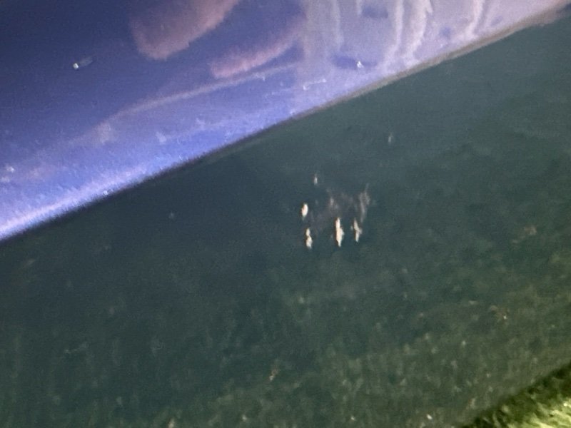 Бампер Volkswagen Polo 6