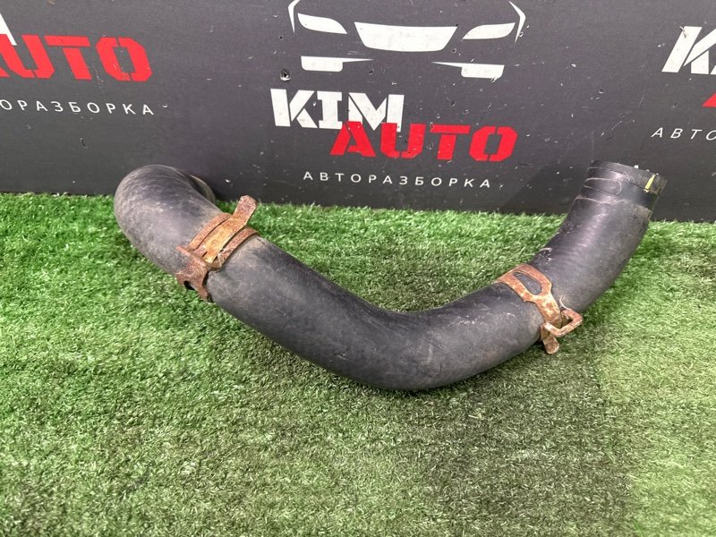 Патрубок радиатора нижний Kia Rio 4 2018