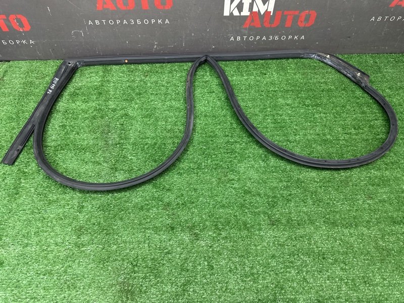 Уплотнитель двери Kia Rio 4 2018