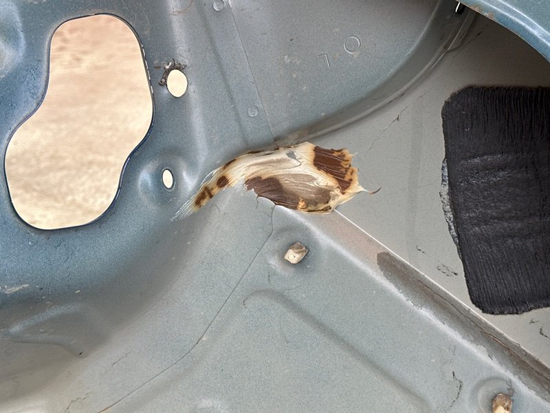 Крыло (четверть) Kia Rio 3 2014 QB