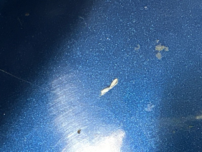 Крышка багажника Ford Mondeo 2