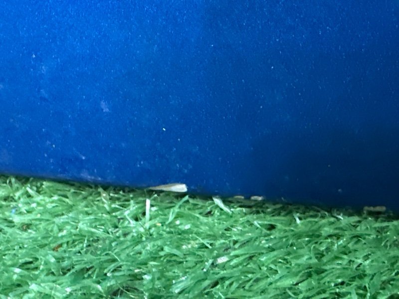 Крышка багажника Chevrolet Cruze