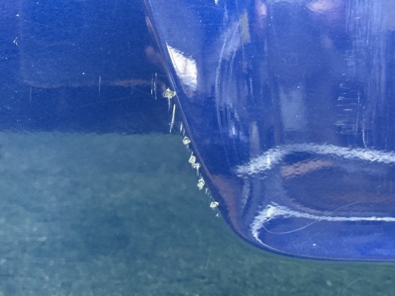 Крышка багажника Opel Zafira B