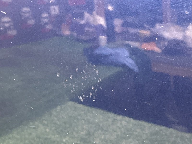 Капот Ford C-Max