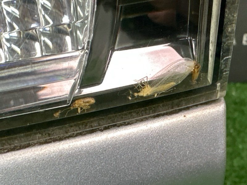 Крышка багажника Mitsubishi Outlander