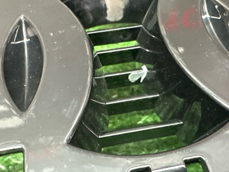 Решетка радиатора Audi Q5