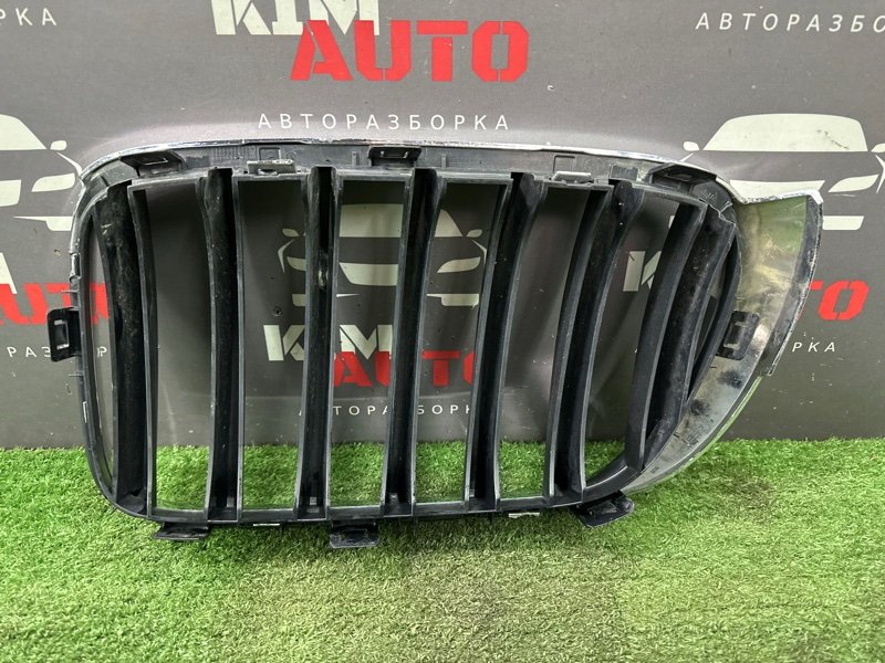 Решетка радиатора BMW X3 F25