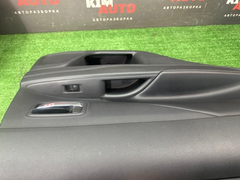 Обшивка двери Mitsubishi Outlander