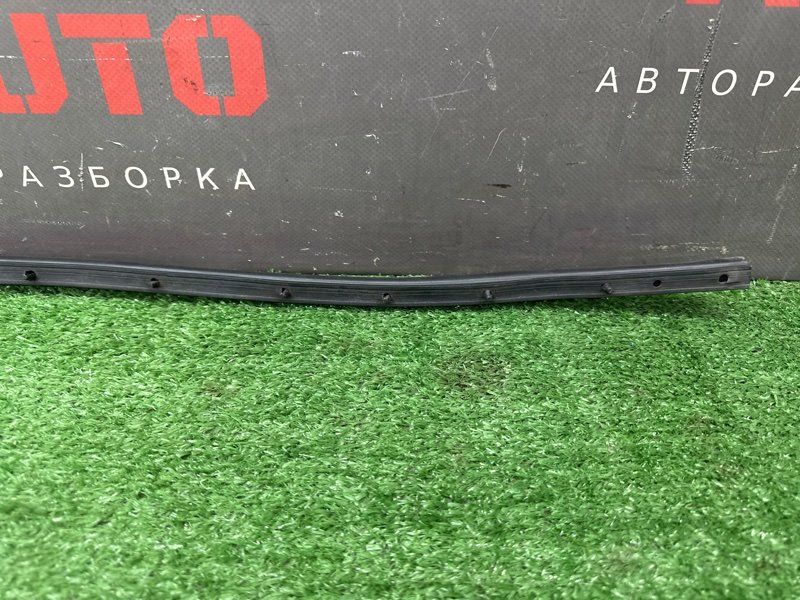 Уплотнитель двери нижний Citroen C 4