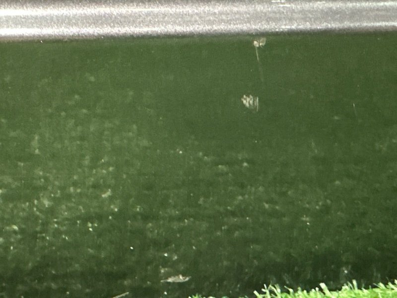 Крышка багажника Ford Focus 2 HB