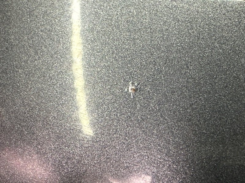 Крышка багажника Kia Ceed 1