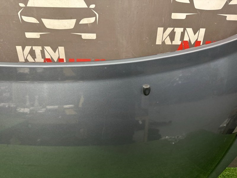 Капот Peugeot 207