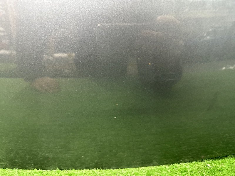 Капот Peugeot 207