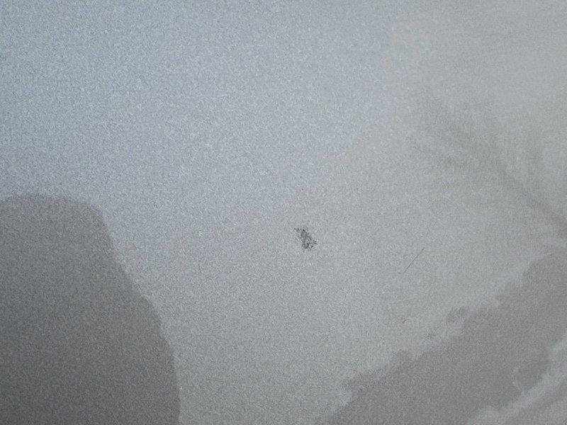 Крыло (четверть) Chevrolet Orlando