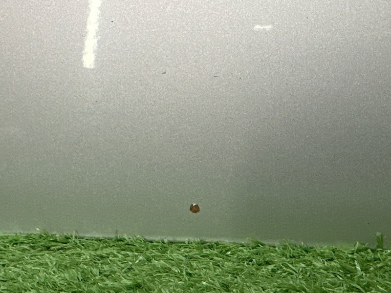 Дверь Kia Rio 3 2014 QB