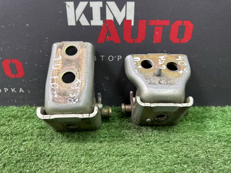 Петли двери Peugeot 407