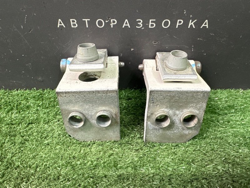 Петли двери Peugeot 206