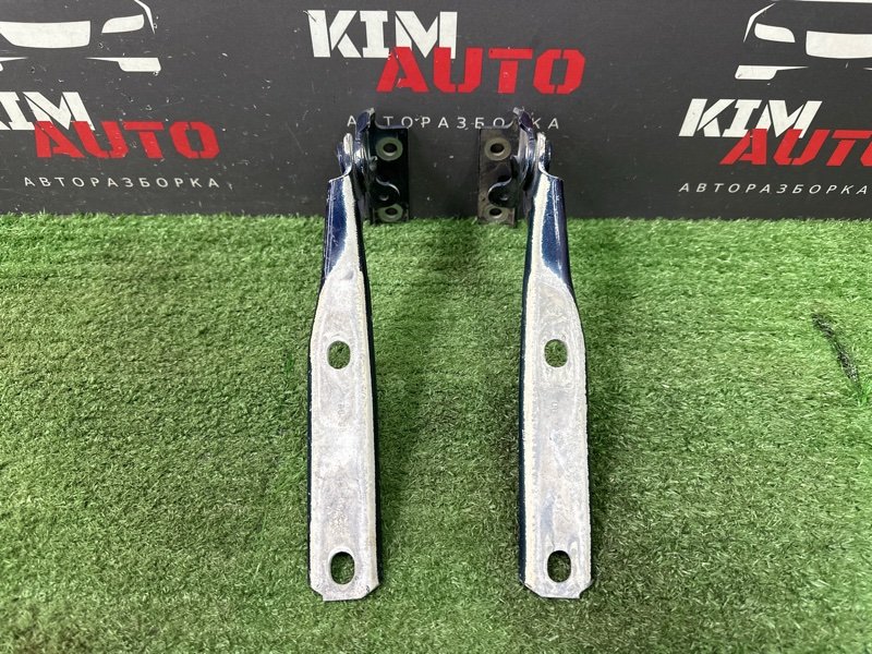 Петли капота Volkswagen Passat B5