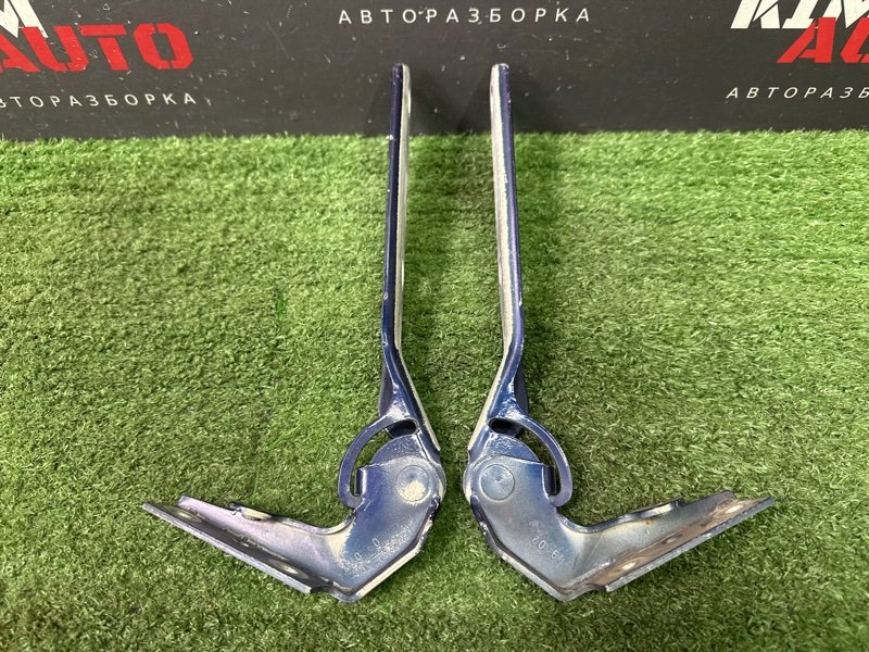 Петли капота Volkswagen Passat B5