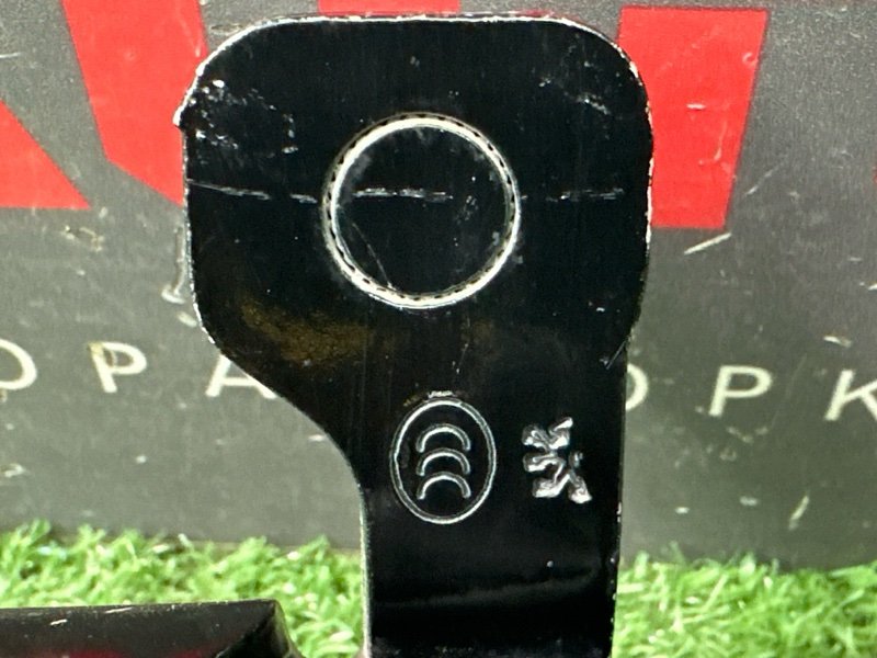 Петли двери Peugeot 308