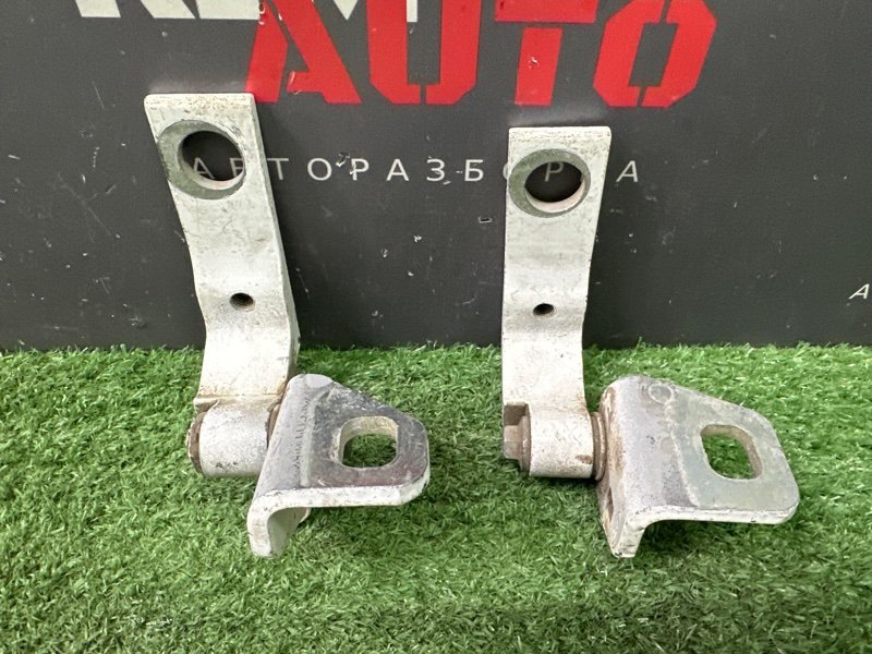 Петли двери Ford Focus